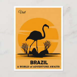 Vintage Besök Brasilien Flamingo Travel Vykort
