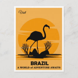 Vintage Besök Brasilien Flamingo Travel Vykort