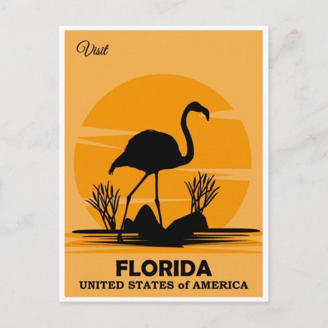 Vintage Besök Florida Flamingo Travel Vykort (Framsida)