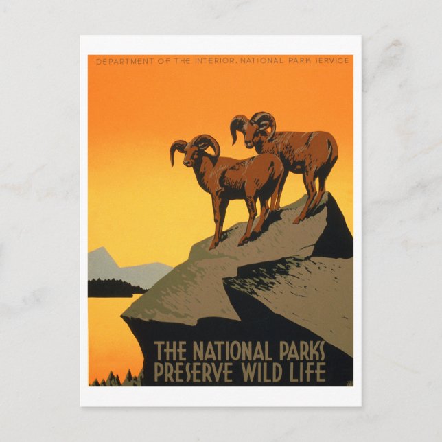 vintage Bevara Wildlife Poster Vykort (Framsida)