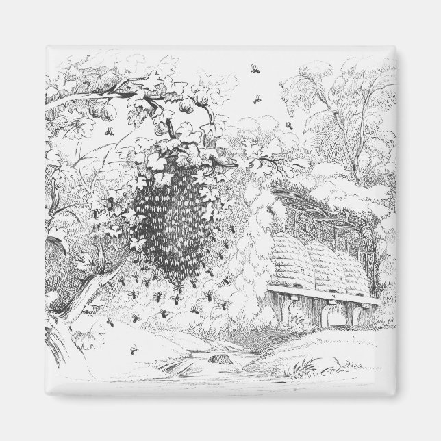 Vintage Bikupor Magnet (Framsidan)