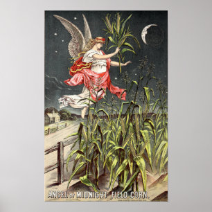 Vintage bild från 1886 års utsädeskatalog poster
