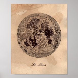 Vintage bild Måne Astronomy Tea Nedfläckad Papper Poster