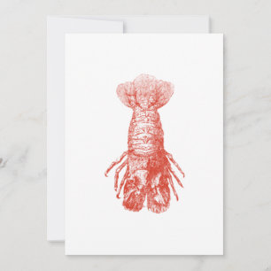 Vintage biologisk illustration av kräftdjur