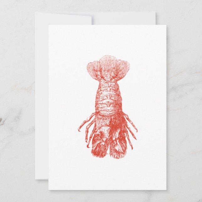 Vintage biologisk illustration av kräftdjur (Framsida)