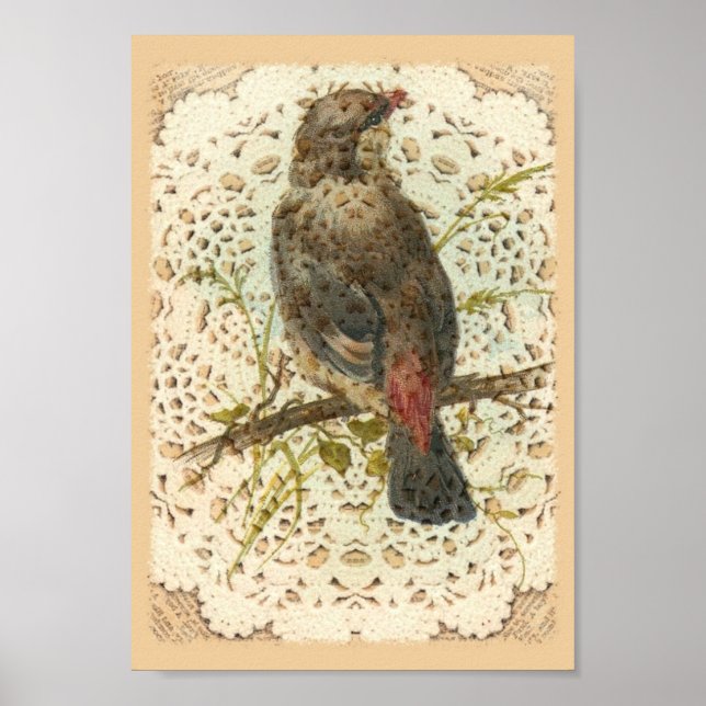 Vintage Bird and Doilie Poster (Framsidan)