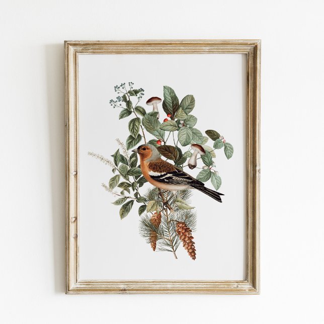 Vintage Bird and Mushroom Botanical Poster (Skapare uppladdad)