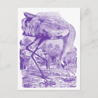 Vintage Bird Bild | Lila | Hungande Crane Vykort