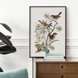 Vintage Bird Botanisk Poster