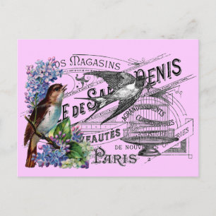 Vintage Bird Collage Vykort