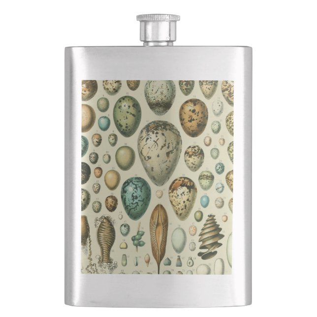 Vintage Bird Eggs Fransk Fish Egg Art Fickplunta (Framsidan)