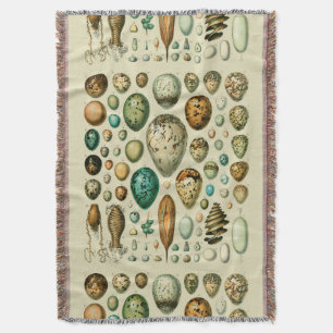 Vintage Bird Eggs Fransk Fish Egg Art Filt