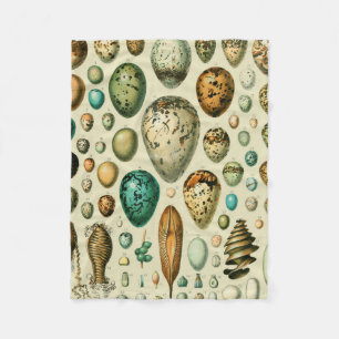 Vintage Bird Eggs Fransk Fish Egg Art Fleecefilt