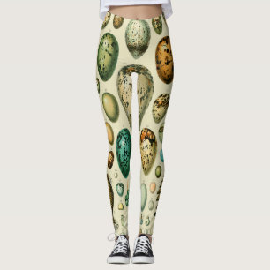Vintage Bird Eggs Fransk Fish Egg Art Leggings