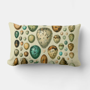 Vintage Bird Eggs Fransk Fish Egg Art Lumbarkudde