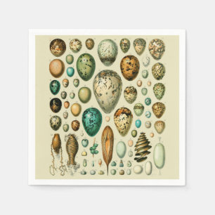 Vintage Bird Eggs Fransk Fish Egg Art Pappersservett