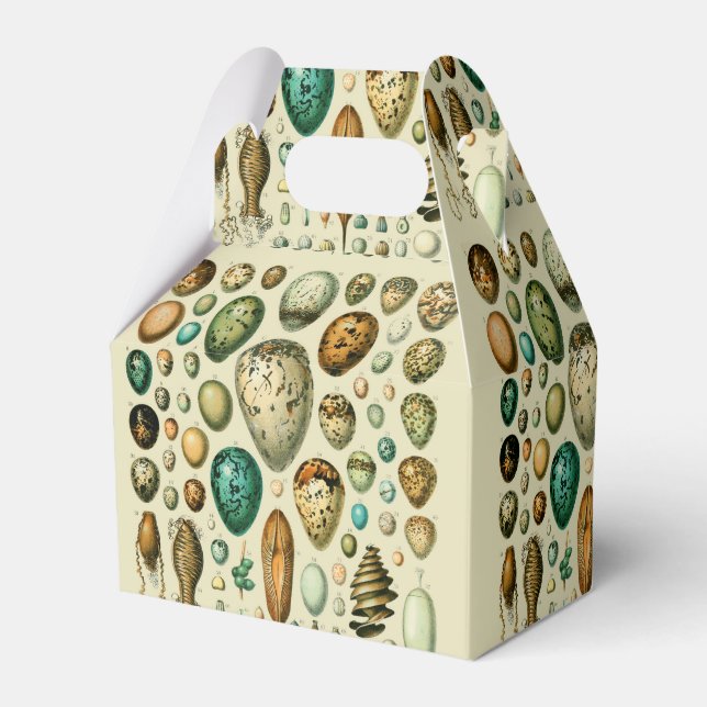 Vintage Bird Eggs Fransk Fish Egg Art Presentaskar (Framsidan Sidan)