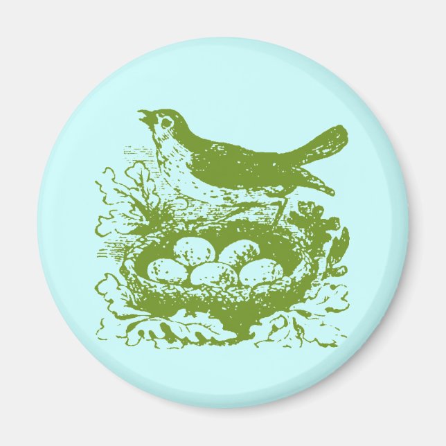 Vintage Bird Eggs & Nest Magnet (Framsidan)