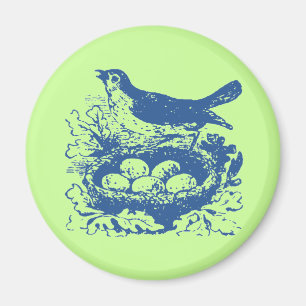 Vintage Bird Eggs & Nest Magnet