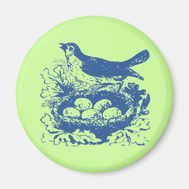 Vintage Bird Eggs & Nest Magnet (Framsidan)