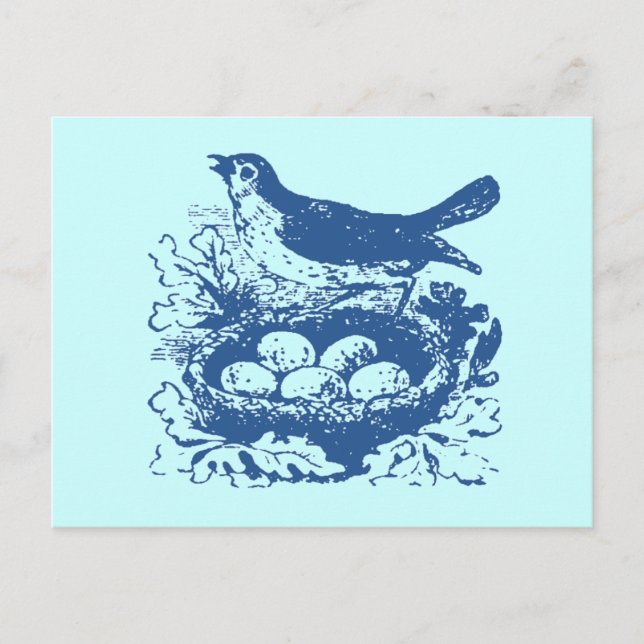 Vintage Bird Eggs & Nest Vykort (Framsida)