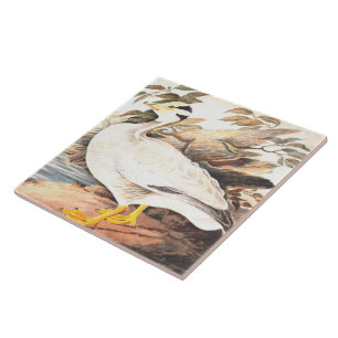 Vintage Bird Elizabeth Gwillim Pub-head goose Kakelplatta