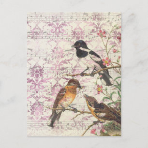 Vintage Bird Ephemera Decoupage Vykort