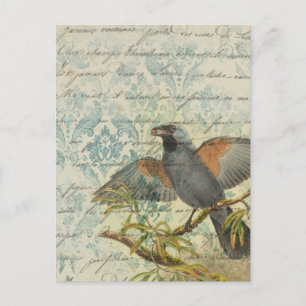 Vintage Bird Ephemera Decoupage-vykort Vykort