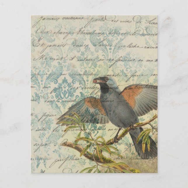 Vintage Bird Ephemera Scrapbook Pappra Lakan (Framsida)