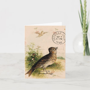 Vintage Bird, födelsedag Kort
