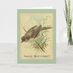 Vintage Bird, Födelsedag Kort