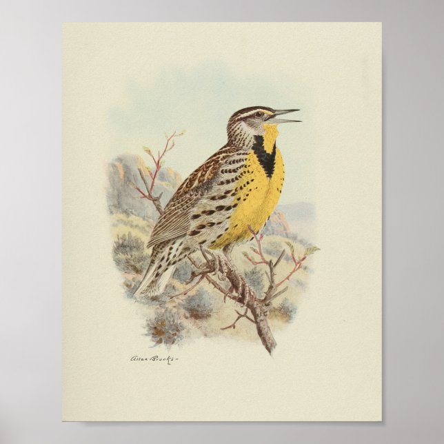 Vintage Bird Gult Brown Specklad utskrift Poster (Framsidan)