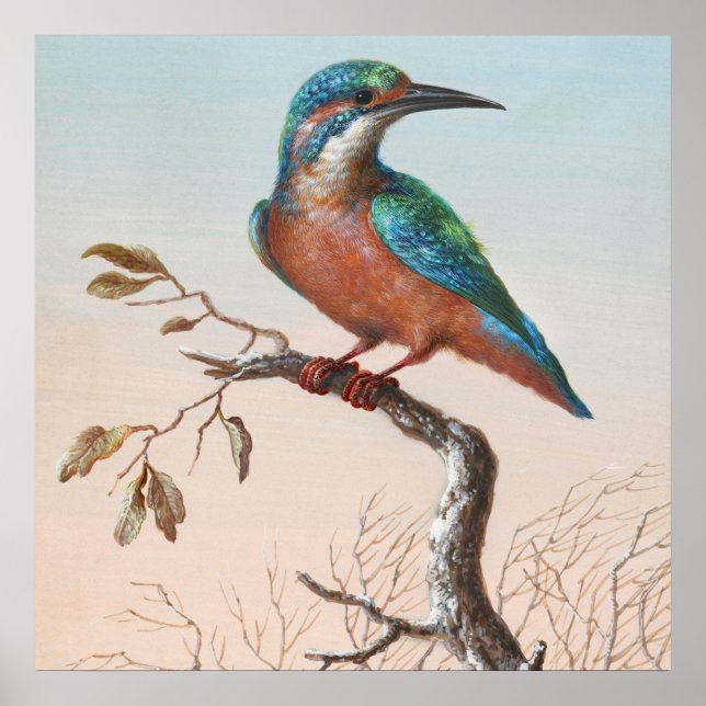 Vintage Bird Illustration Poster (Framsidan)