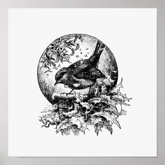 Vintage Bird Illustration Poster (Framsidan)