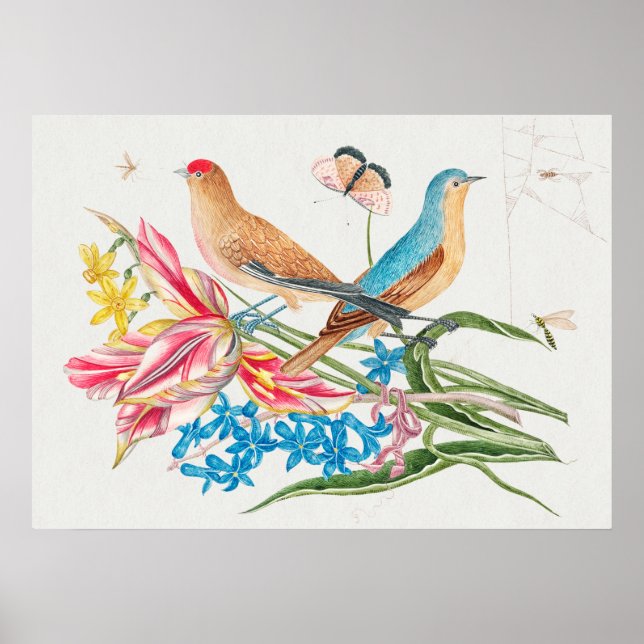 Vintage Bird Illustration Poster (Framsidan)