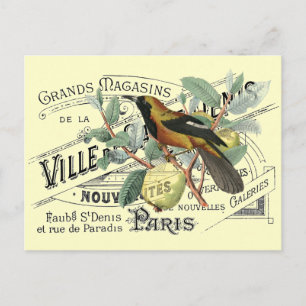 Vintage Bird in Fruit Träd Ephemera Collage Vykort
