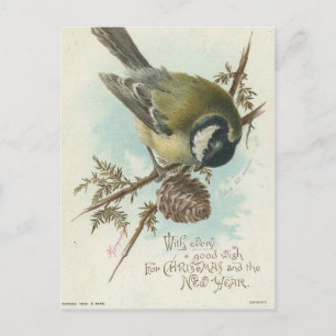 Vintage Bird och Gräs Gren Vykort