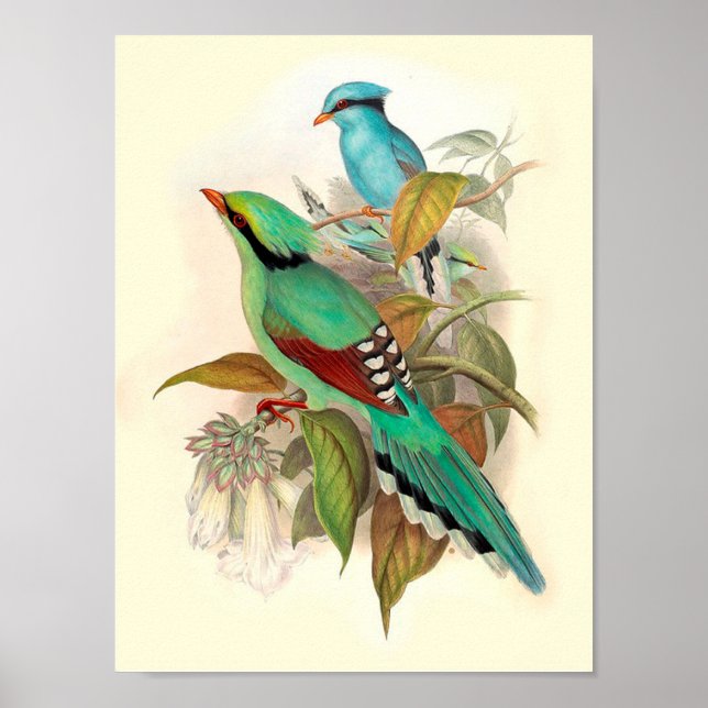 Vintage Bird Poster (Framsidan)