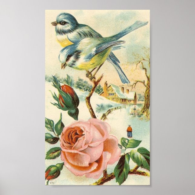 Vintage Bird Poster (Framsidan)