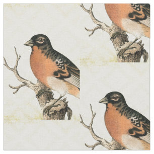 Vintage Bird Tyg