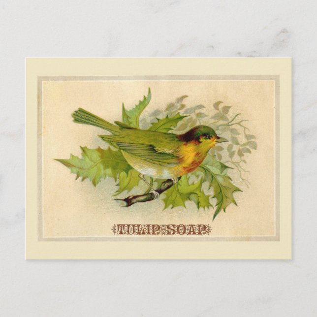 Vintage Bird Vykort (Framsida)