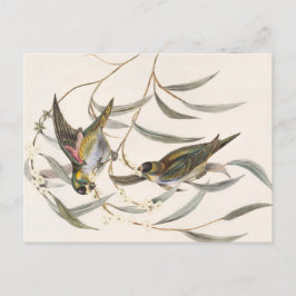 Vintage Bird Vykort