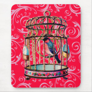 Vintage Birdcage Musmatta