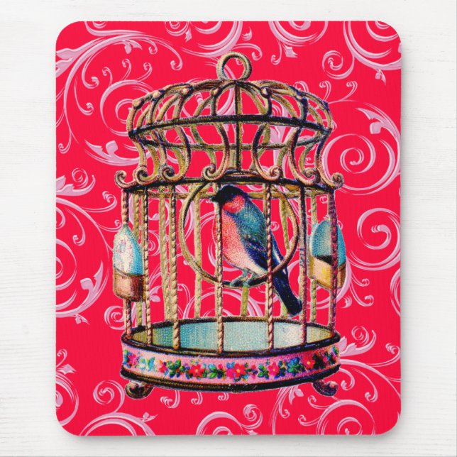 Vintage Birdcage Musmatta (Framsidan)