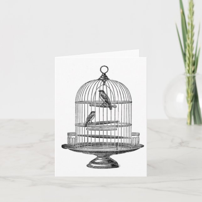 Vintage Birdcage with Birds...notecard Kort (Framsida)