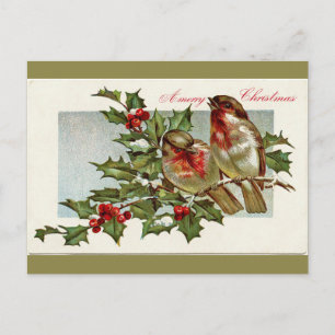 Vintage Birds and Holly Oliv grönt jul Helg Vykort