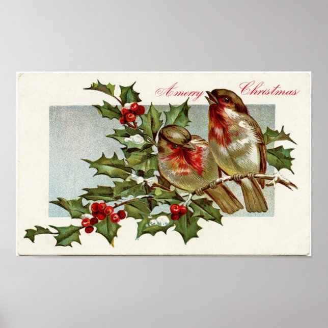 Vintage Birds and Holly Poster (Framsidan)