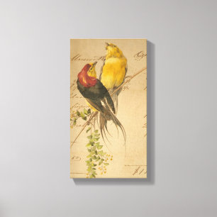 Vintage Birds and Ledger Papper Canvastryck