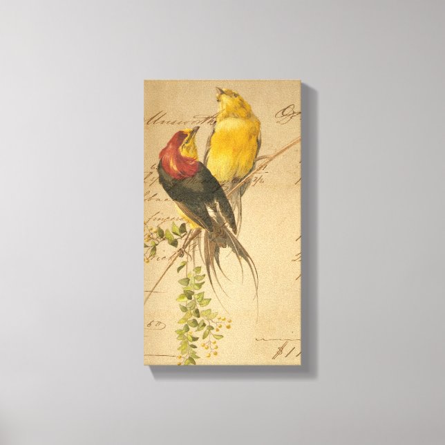 Vintage Birds and Ledger Papper Canvastryck (Framsida)