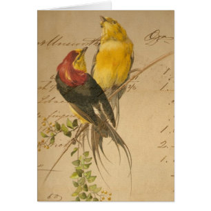 Vintage Birds and Ledger Papper Hälsningskort